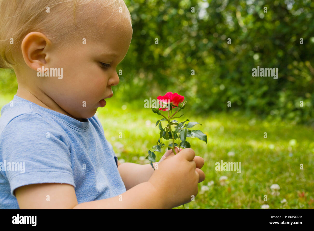 Ein kleiner Junge mit Blumen Stockfoto