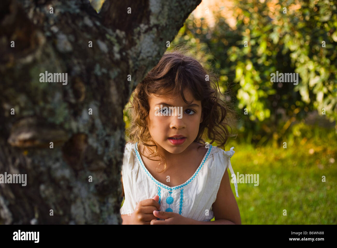 Ein Mädchen hinter einem Baum Stockfoto
