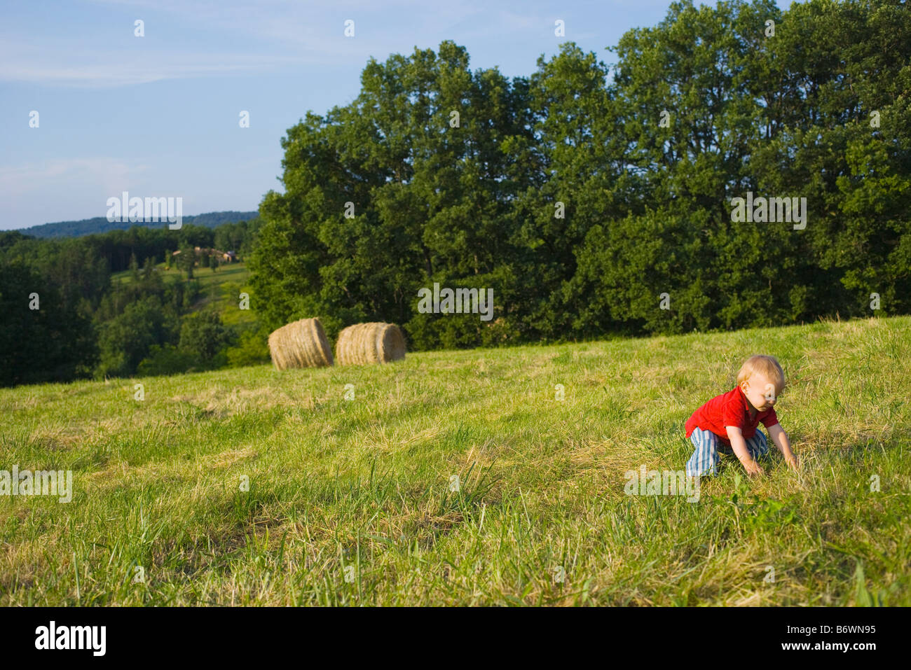 Einen kleinen Jungen hocken in einem Feld Stockfoto
