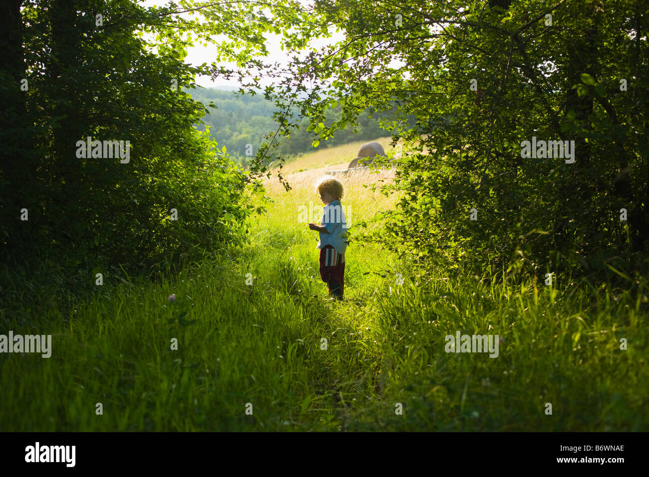 Ein Junge steht in einem Wald Stockfoto