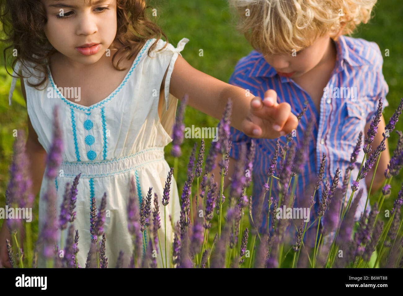 Jungen und Mädchen Blick auf Lavendel Stockfoto