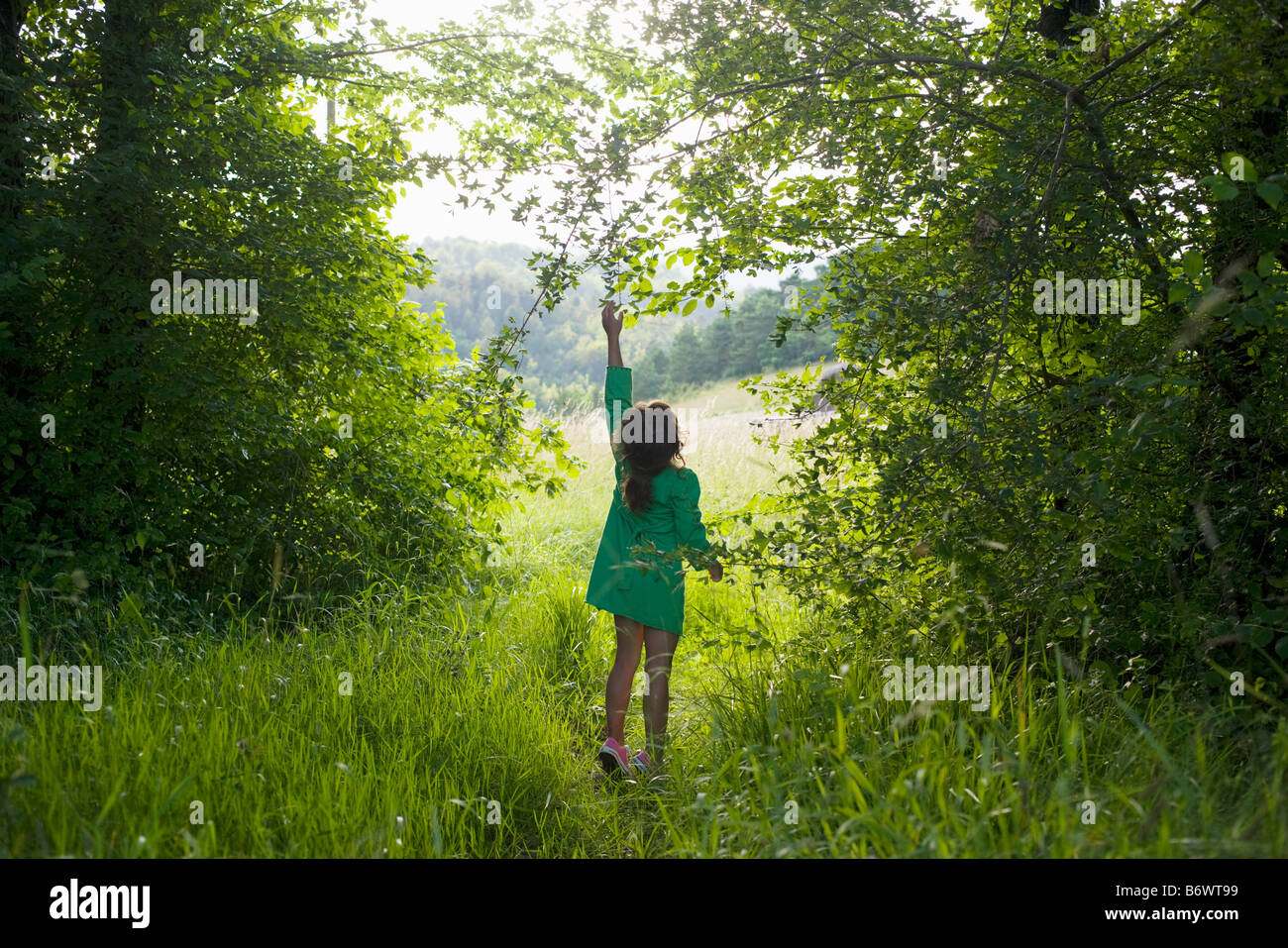 Ein Mädchen versucht, um eine Abzweigung auf einen Baum zu erreichen Stockfoto