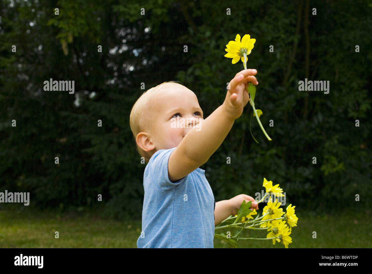 Ein kleiner Junge mit Blumen Stockfoto