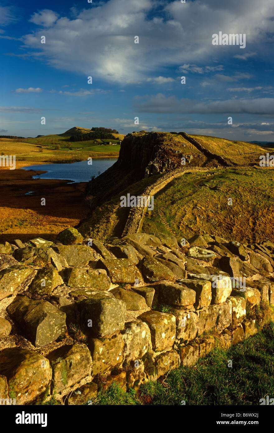 Wintersonne auf Stahl Rigg, nahe zweimal gebraut, Hadrianswall, Northumberland National Park Stockfoto