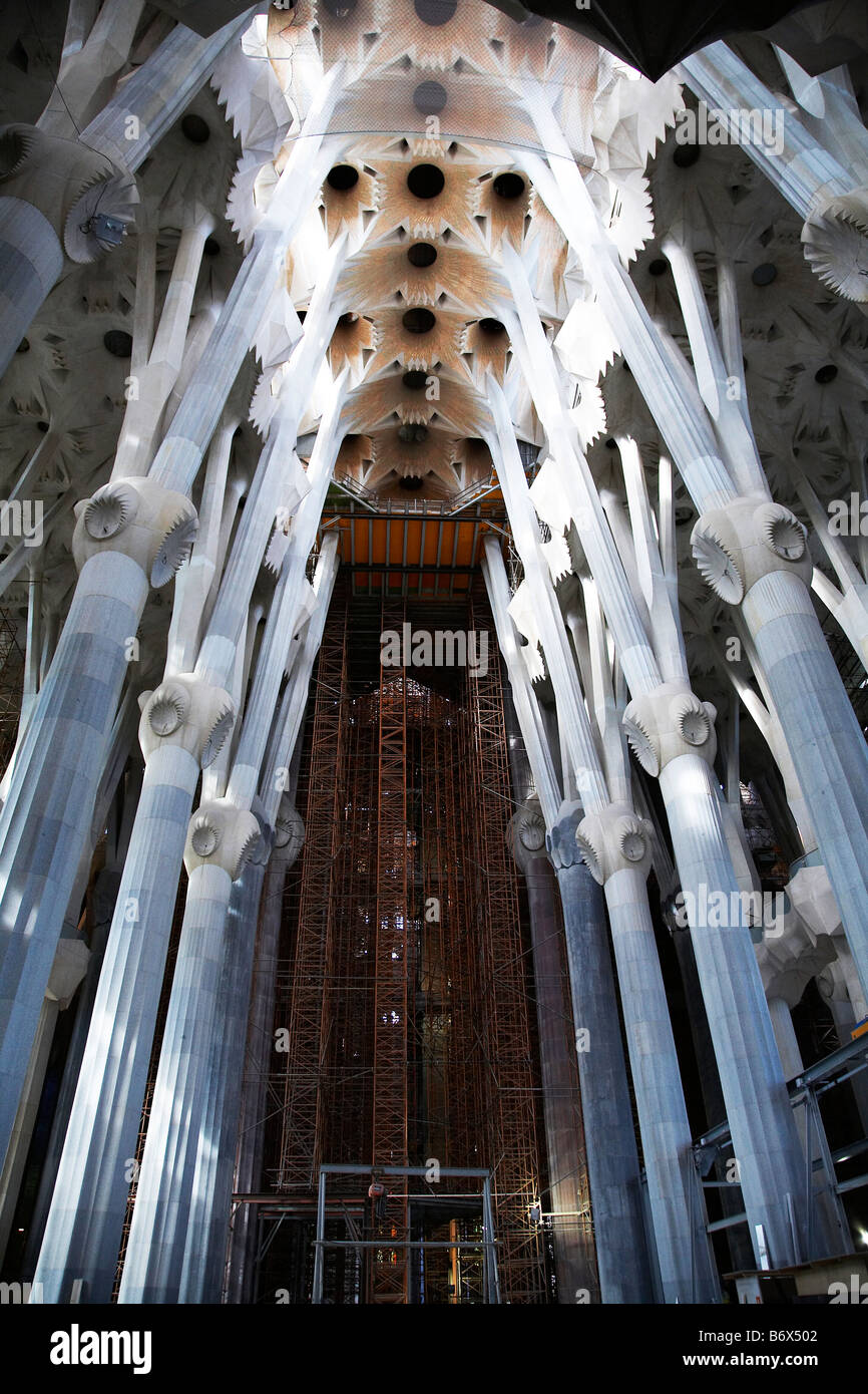 Im Inneren Gaudi, s La Sagrada Familia, Barcelona, Spanien. Stockfoto