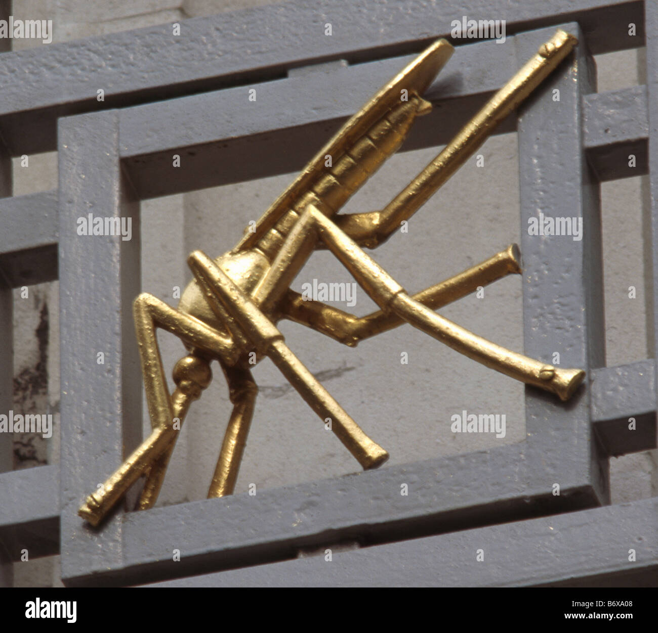 Mosquito: Hygiene & Tropenmedizin Stockfoto