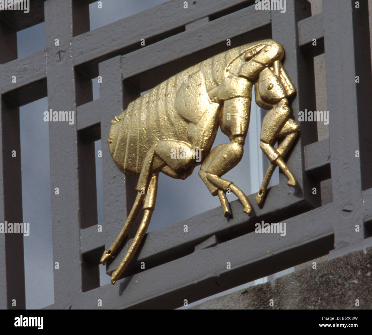 Floh-Hygiene & Tropenmedizin Stockfoto