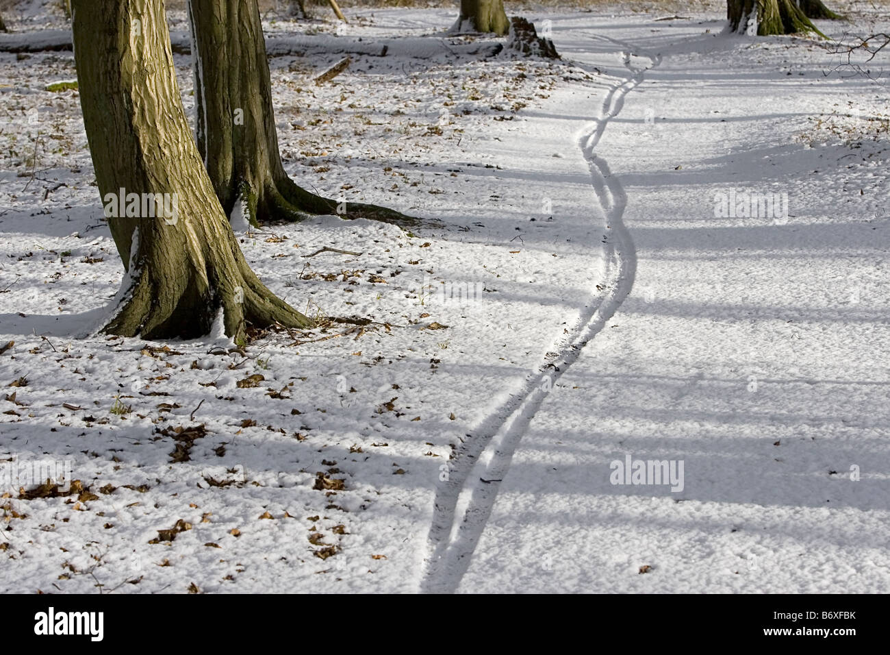 Fahrrad-Spuren im Schnee 1 Stockfoto