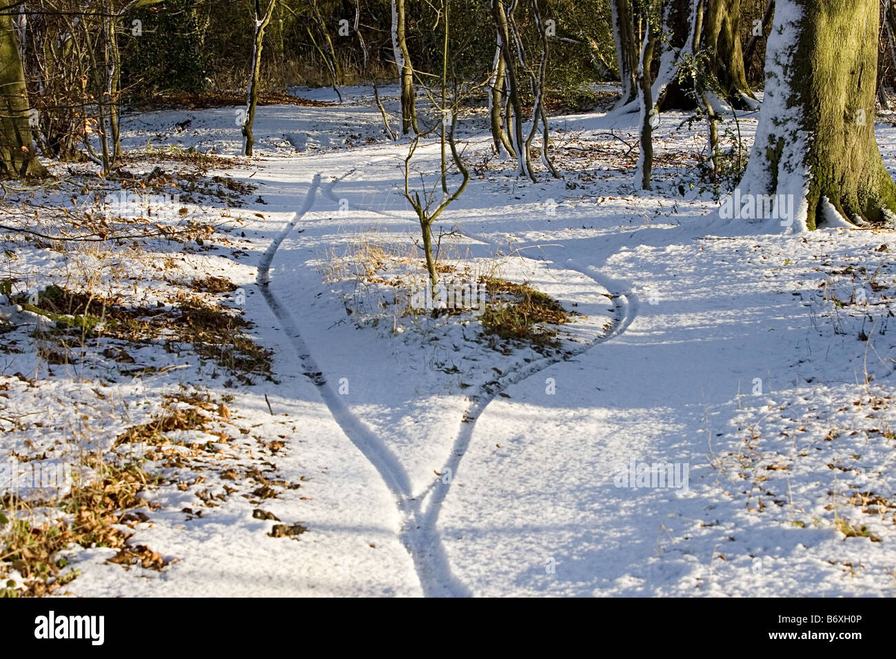 Fahrrad-Spuren im Schnee 2 Stockfoto
