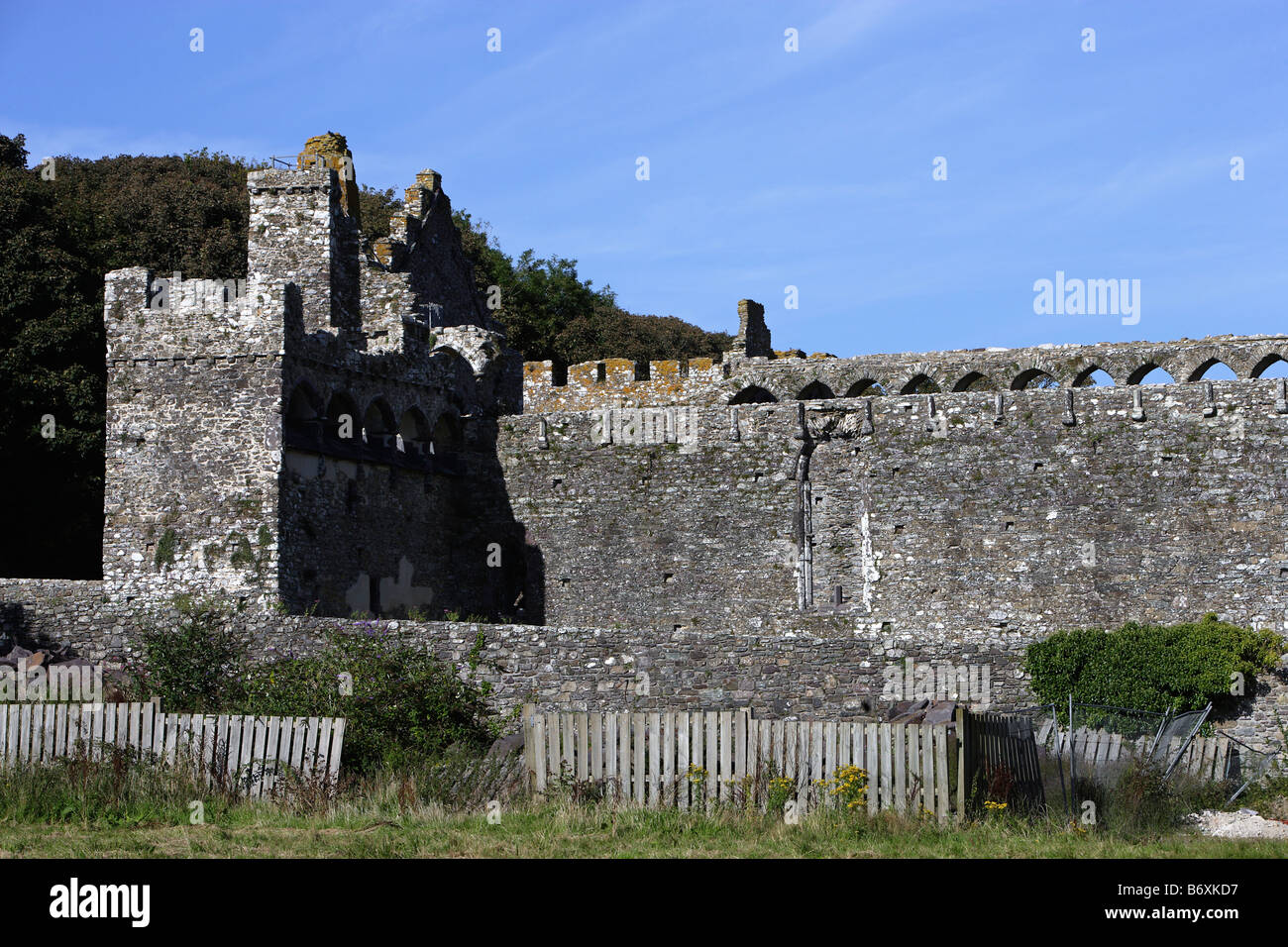 St. David Bishop s Palace 1300 von Bischof Gower 1328 1347 Pembrokeshire Wales UK Stockfoto