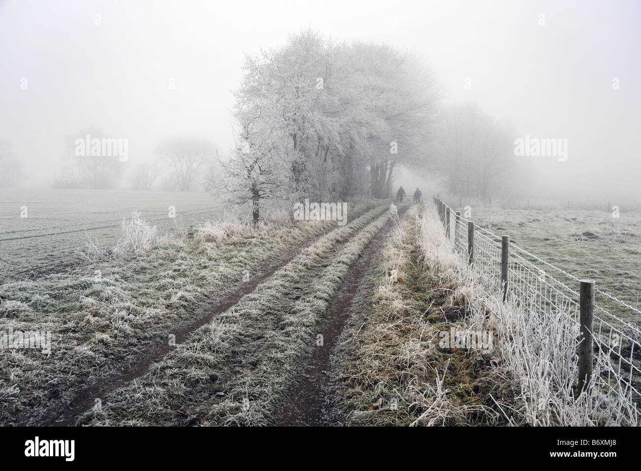 Paare, die an Nebel und frostigen Wintertag, Loynton, Staffordshire Stockfoto