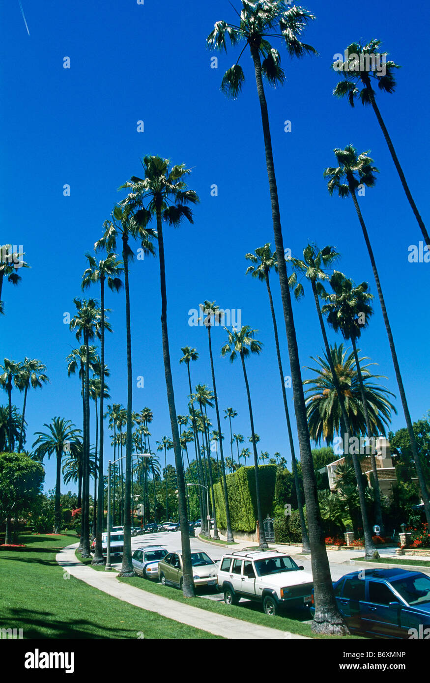 Beverly Hills in Los Angeles Kalifornien Stockfoto