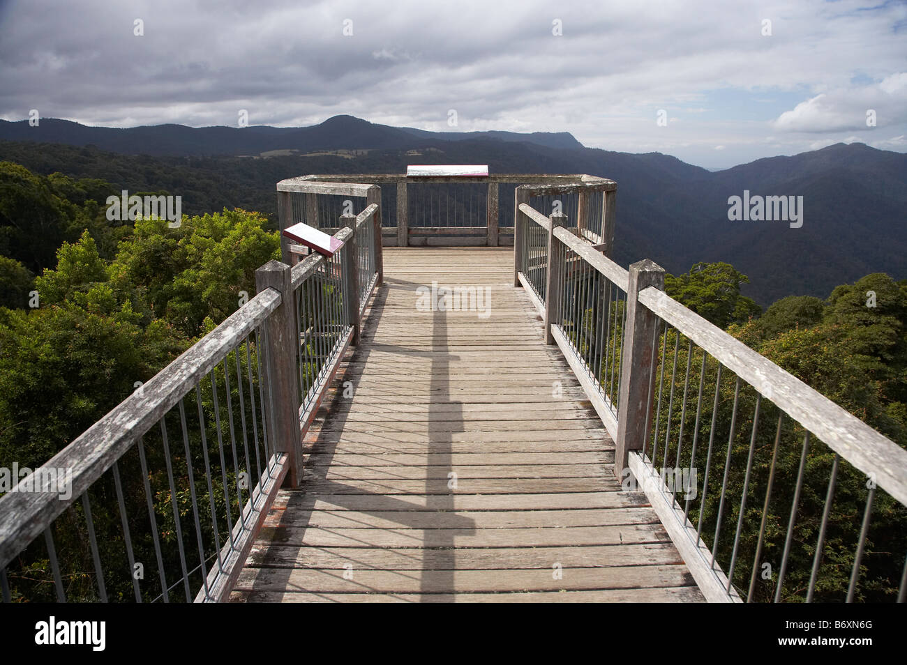 Skywalk Dorrigo National Park New South Wales Australien Stockfoto