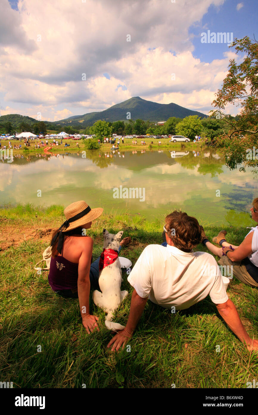 Wettschwimmen, Pferd Hund & Hund Weinfest, Bedford, Virginia, USA Stockfoto