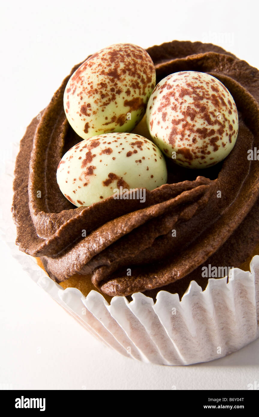 Nahaufnahme Detail dekorierten Schokoladenkekse Kuchen mit Chili Schokolade topping Nest und dekorative Schokoladeneier zu Ostern. Stockfoto