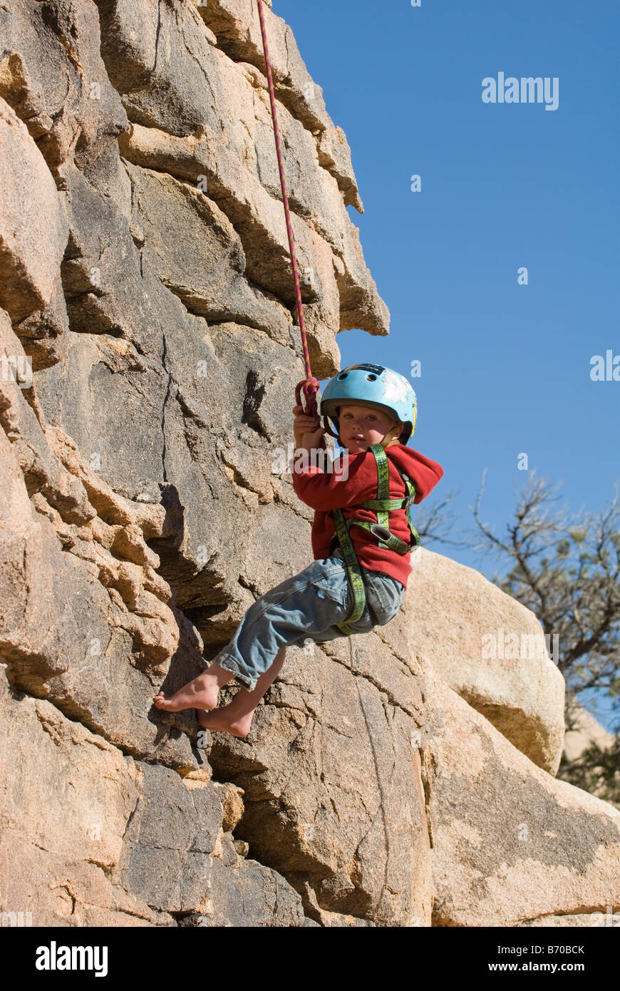 Junge Abseilen Felswand, Joshua Tree National Park, Kalifornien. Stockfoto