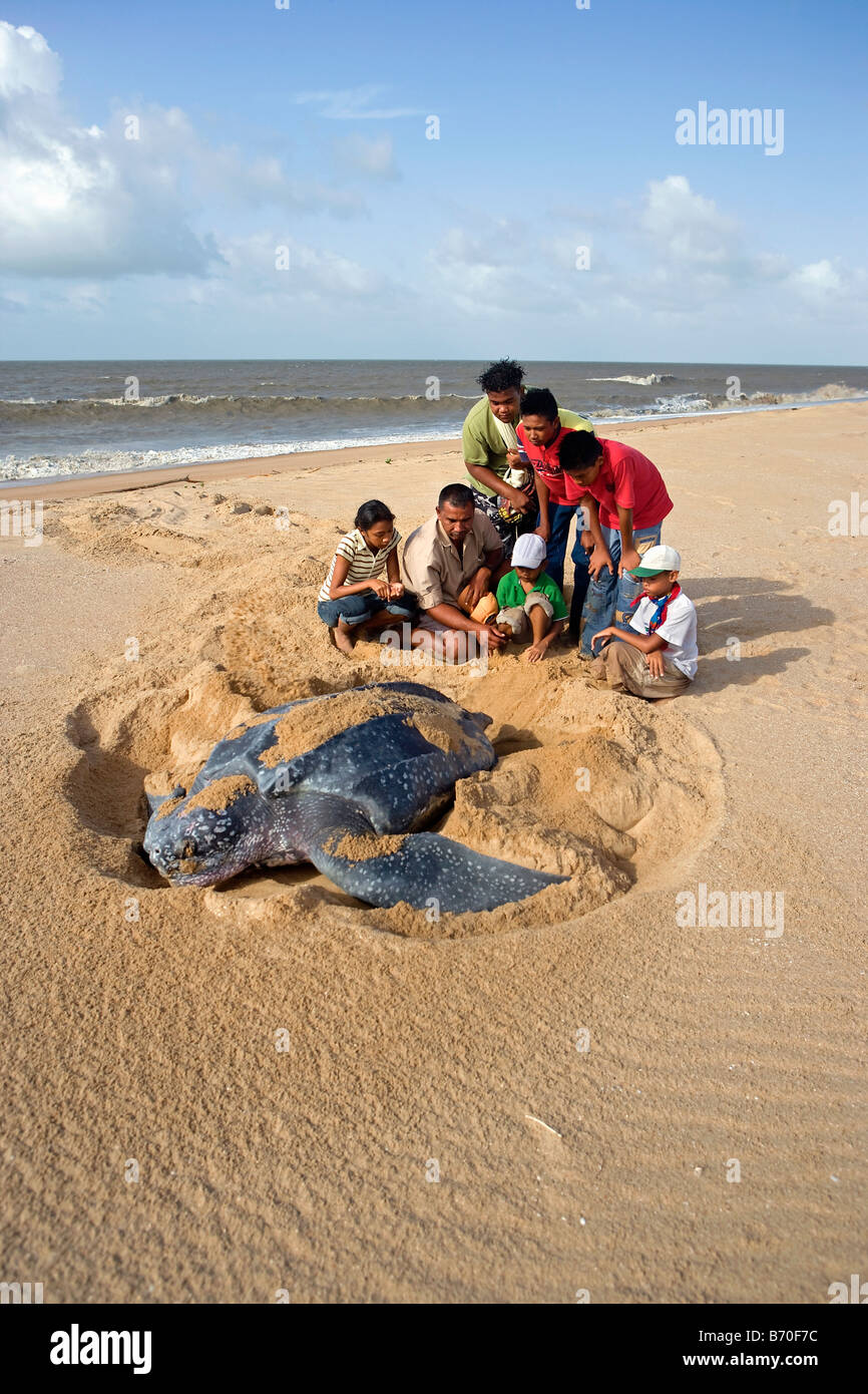 Suriname, Matapica National Park. Lederschildkröte Eiablage. (Dermochelys Coriacea). Lokale Führer erklärt Kindern vor Ort Stockfoto