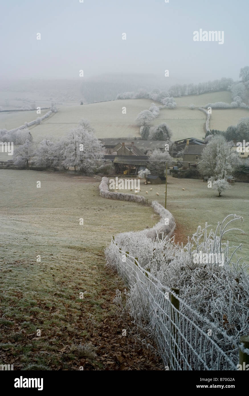 Winter-Szene, Shropshire, UK Stockfoto
