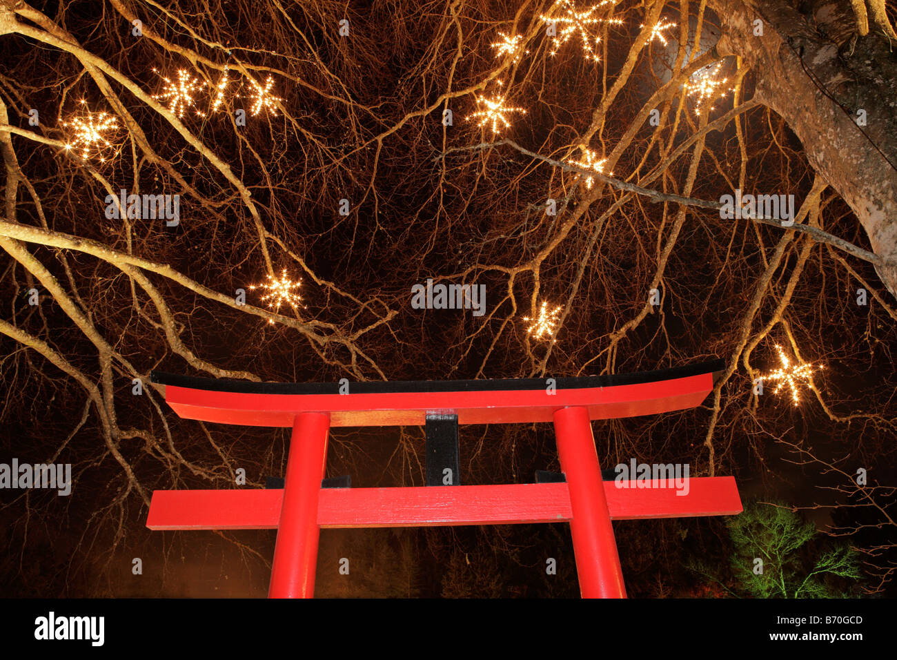 Japanischer Garten Eingang mit Weihnachtsbeleuchtung in der Nacht Butchart Gardens Victoria British Columbia Kanada Stockfoto