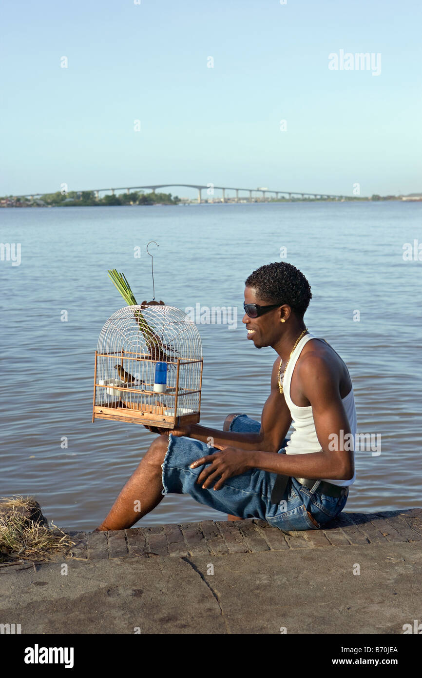 Suriname, Paramaribo. Kreolische Mann und Picolet Singvogel, essen Reis-Rasen. Suriname-Fluss und Wijdenbosch Brücke. Stockfoto