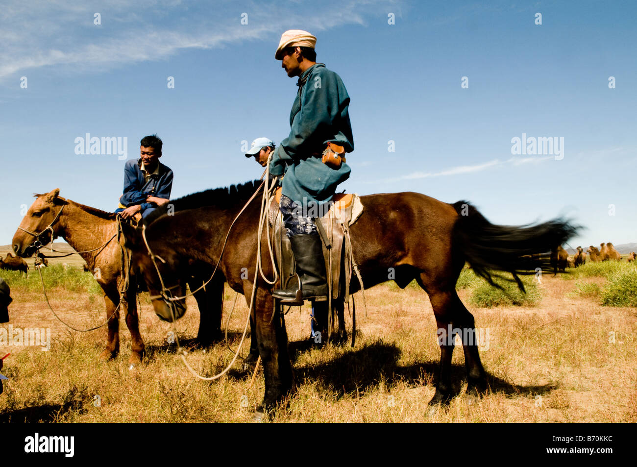 Kamel Hirten auf ihren Pferden in der Mongolei. Stockfoto