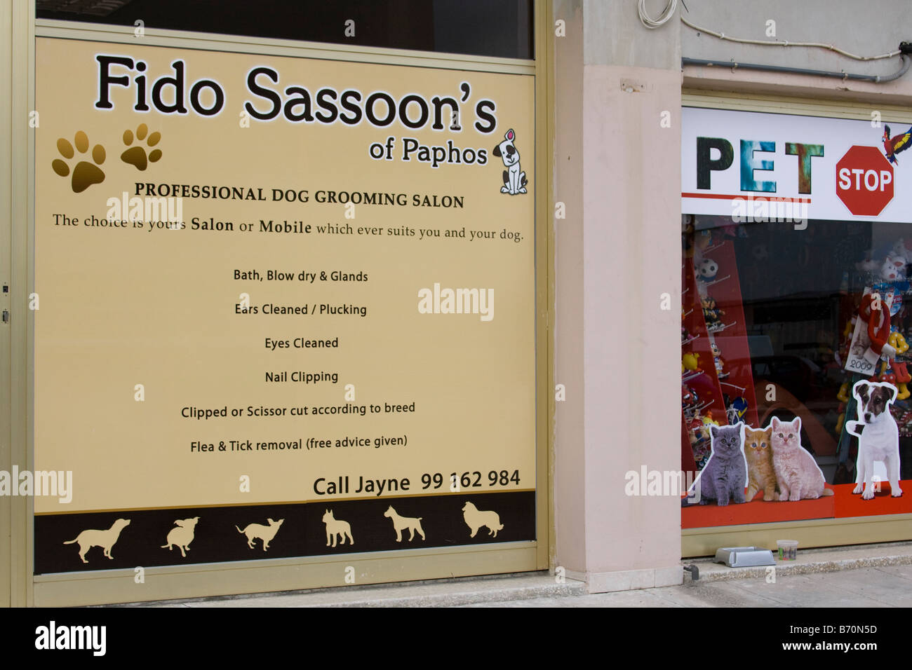 "Fido Sassoon" professionellen Hundesalon in Paphos oder Pafos, Zypern, EU shop Stockfoto