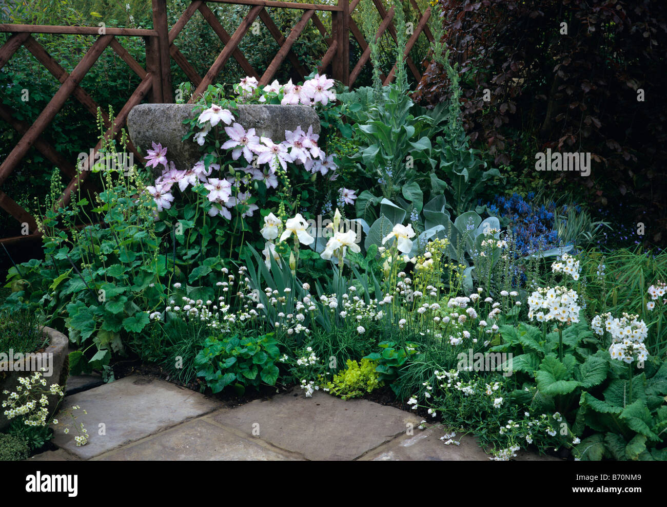 Weiße Ecke mit Bartiris beim FC Chelsea Stockfoto