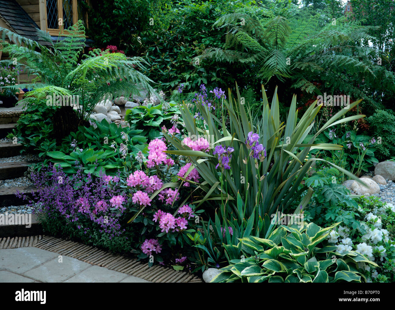 Gemischten Beet mit Phormium Tenax und Baumfarne Stockfoto