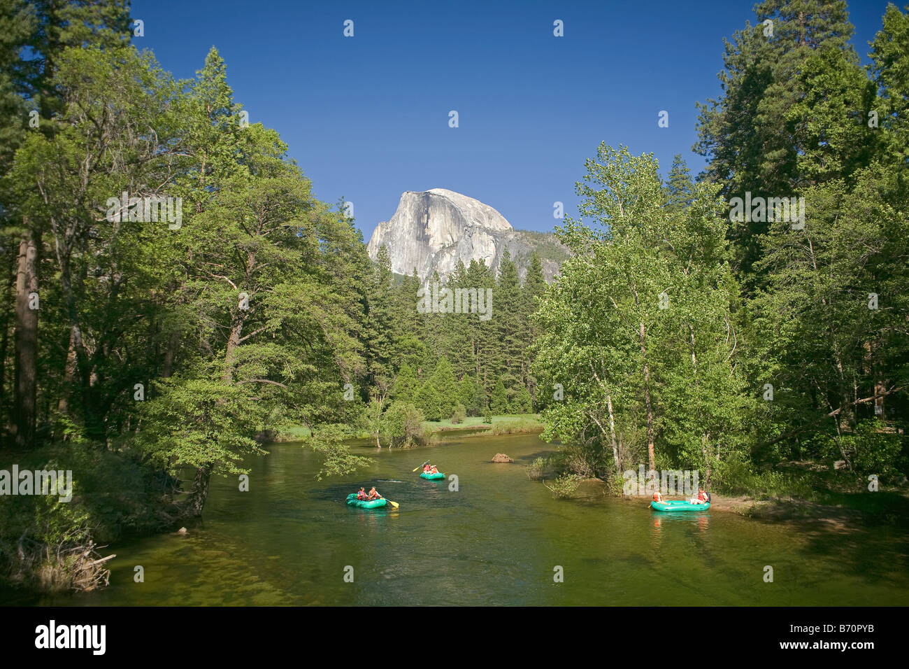 Kalifornien - Sparren am Merced River im Yosemite Valley mit Half Dome in der Ferne im Yosemite National Park Stockfoto