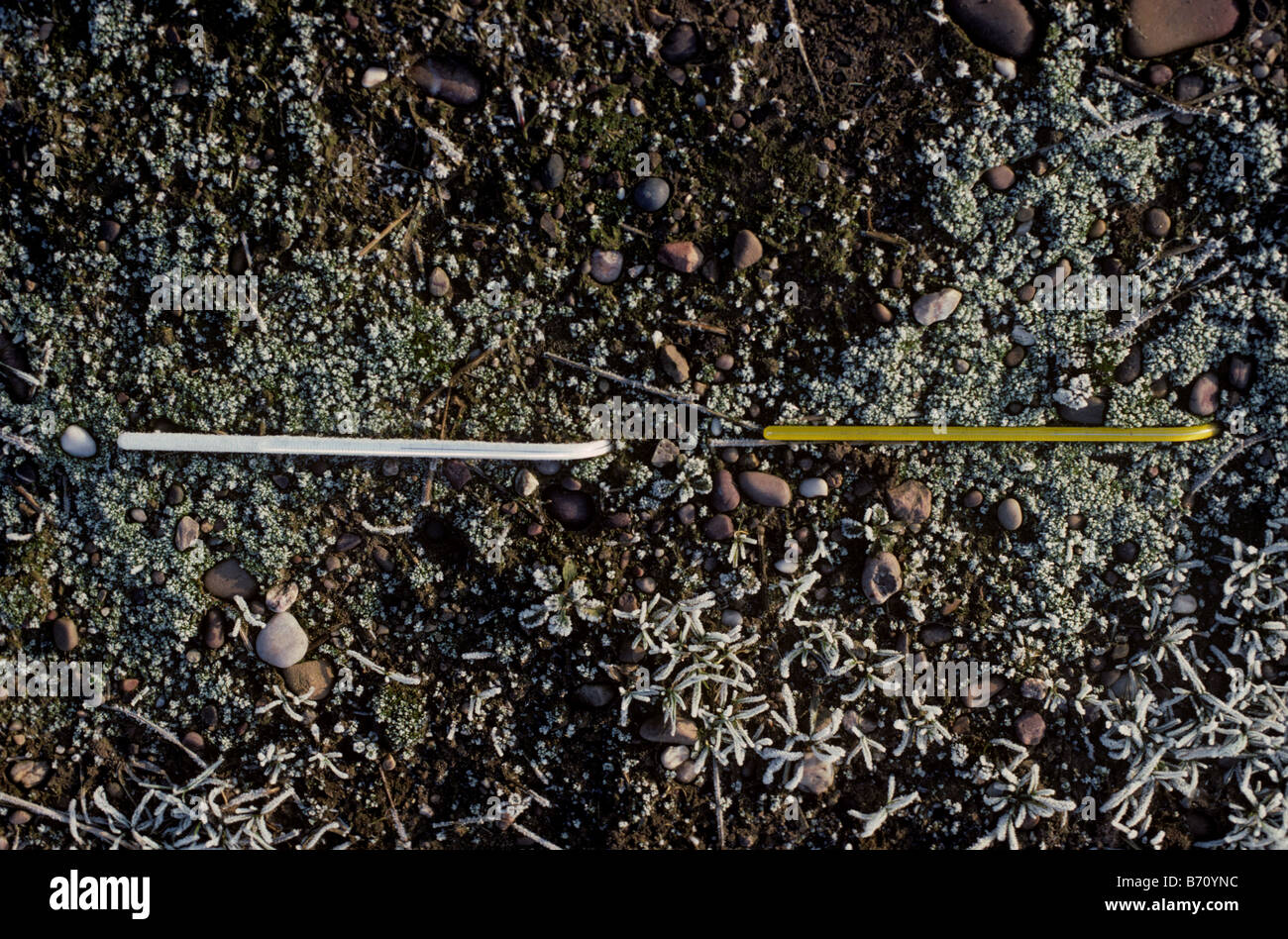 Wetter-Messung zwei Thermometer begraben in verschiedenen Bodentiefen, Bodentemperaturen messen Stockfoto