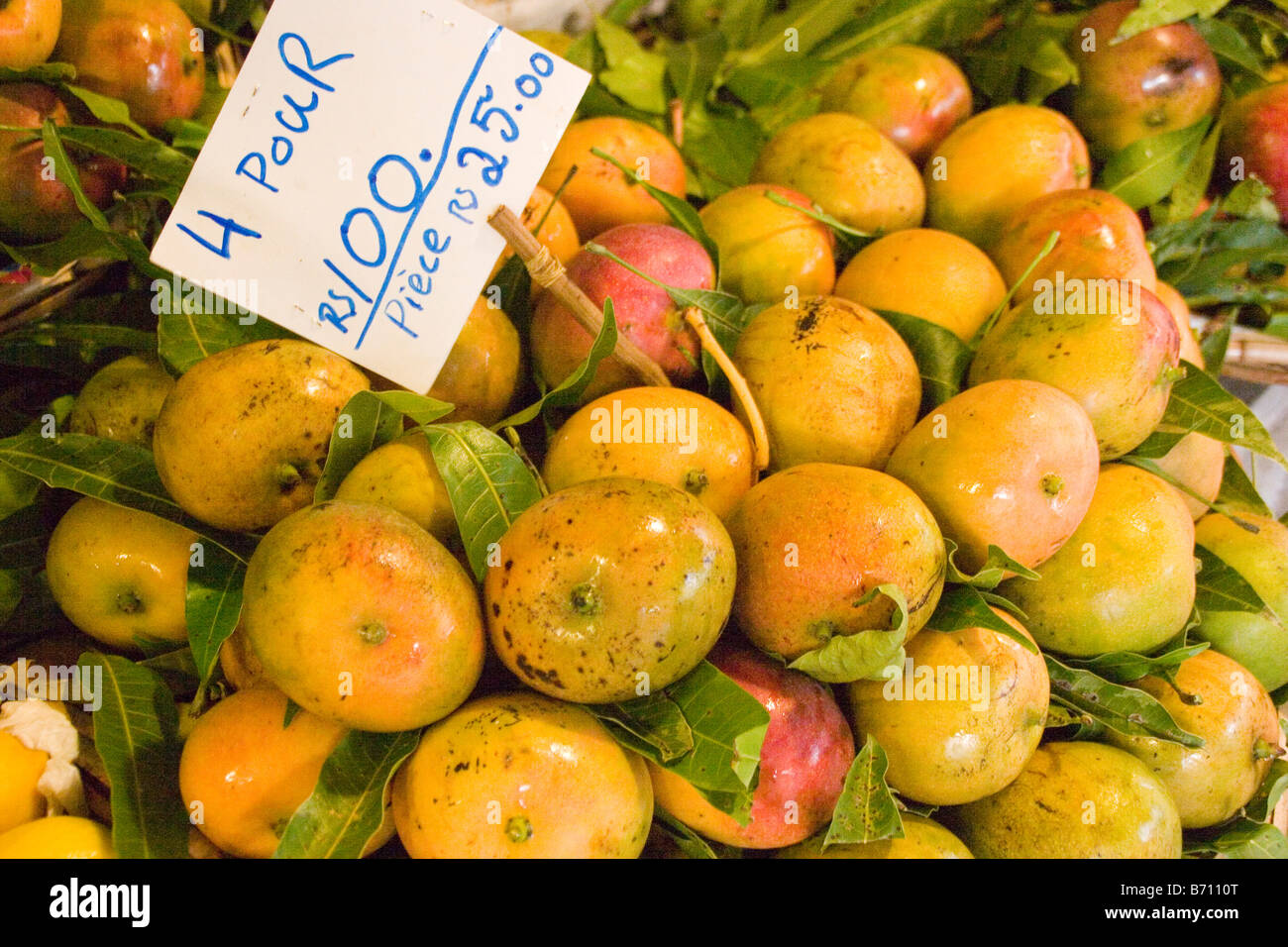 Mangos zum Verkauf auf dem Zentralmarkt in der Stadt Port Louis, der Hauptstadt von Mauritius, eine Insel im Indischen Ozean Stockfoto