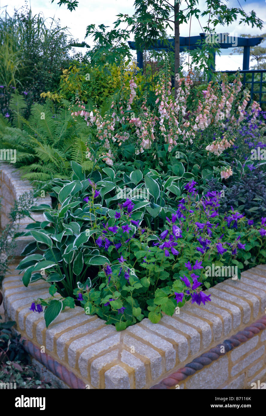 Erhabene Blumen mit blass rosa Fingerhut Stockfoto