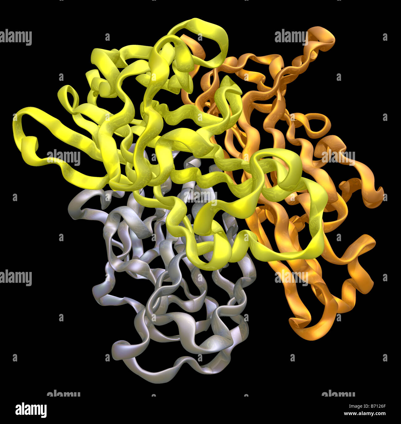 Multifunktionsleiste Molekülmodell von RANKL (Rezeptor-Aktivator für nukleare Faktor κ B Ligand) Stockfoto