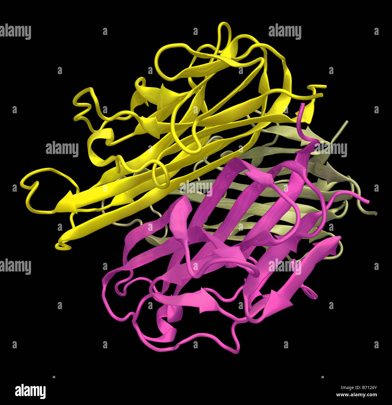 Multifunktionsleiste Molekülmodell von RANKL (Rezeptor-Aktivator für nukleare Faktor κ B Ligand) Stockfoto