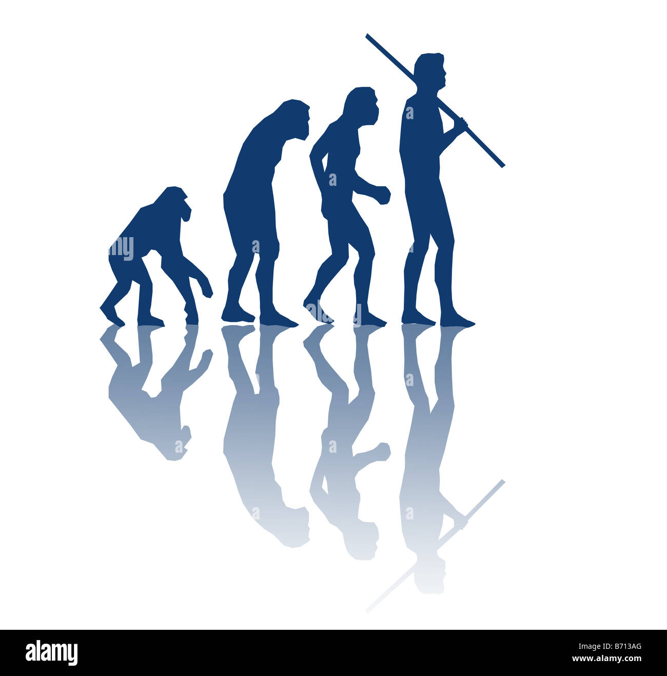 Die evolution des menschen -Fotos und -Bildmaterial in hoher Auflösung ...