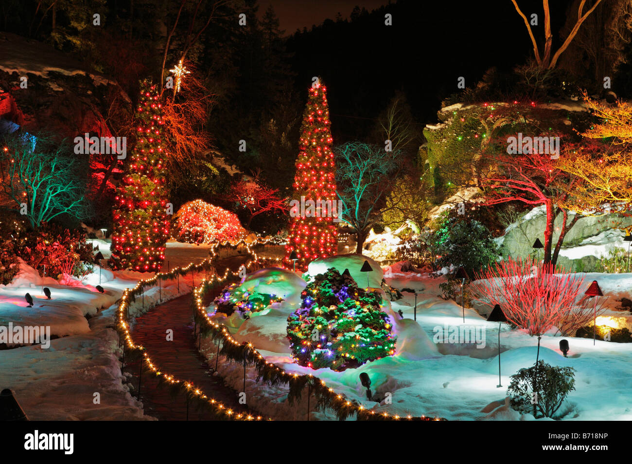 Versunkene Garten mit Weihnachtsbeleuchtung in der Nacht Butchart Gardens Victoria British Columbia Kanada Stockfoto