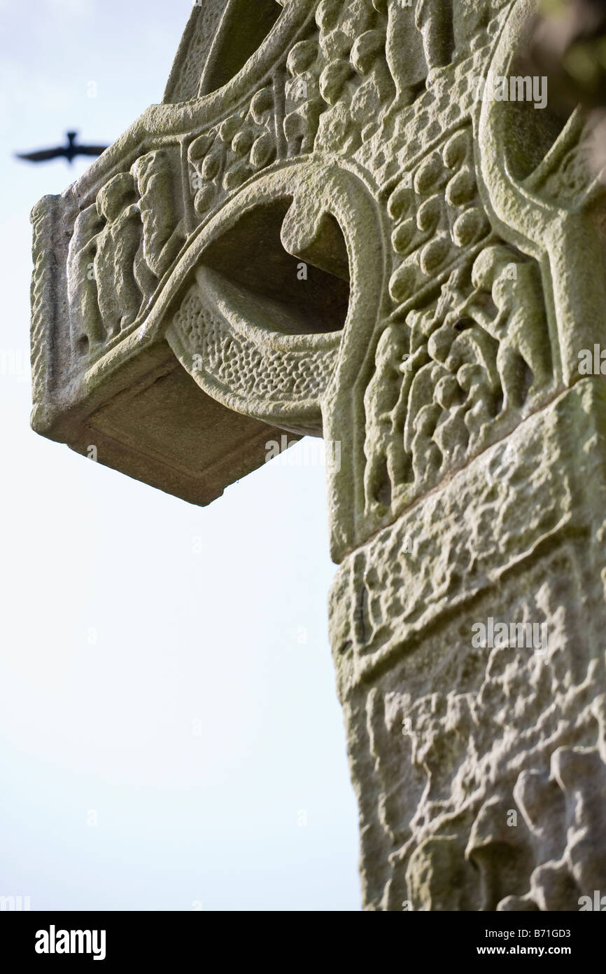 Westen zu überqueren, mit Crow: ein Detail aus der Welle und der Arm des Kreuzes West Luftlinie durch. Monasterboice Louth, Irland Stockfoto