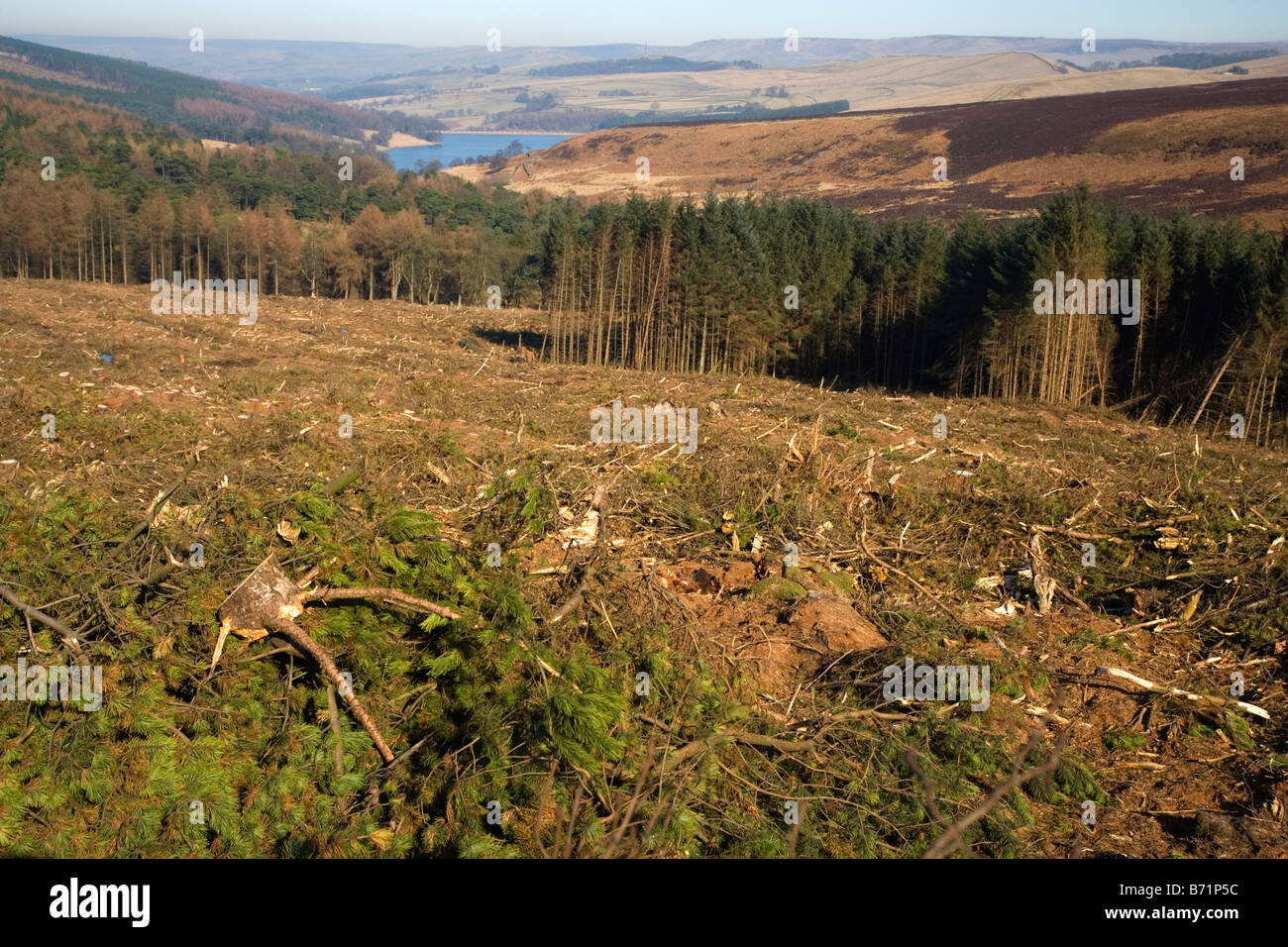 Forstarbeiten im Goyt Tal über Errwood Reservoir im Peak District in Derbyshire Stockfoto