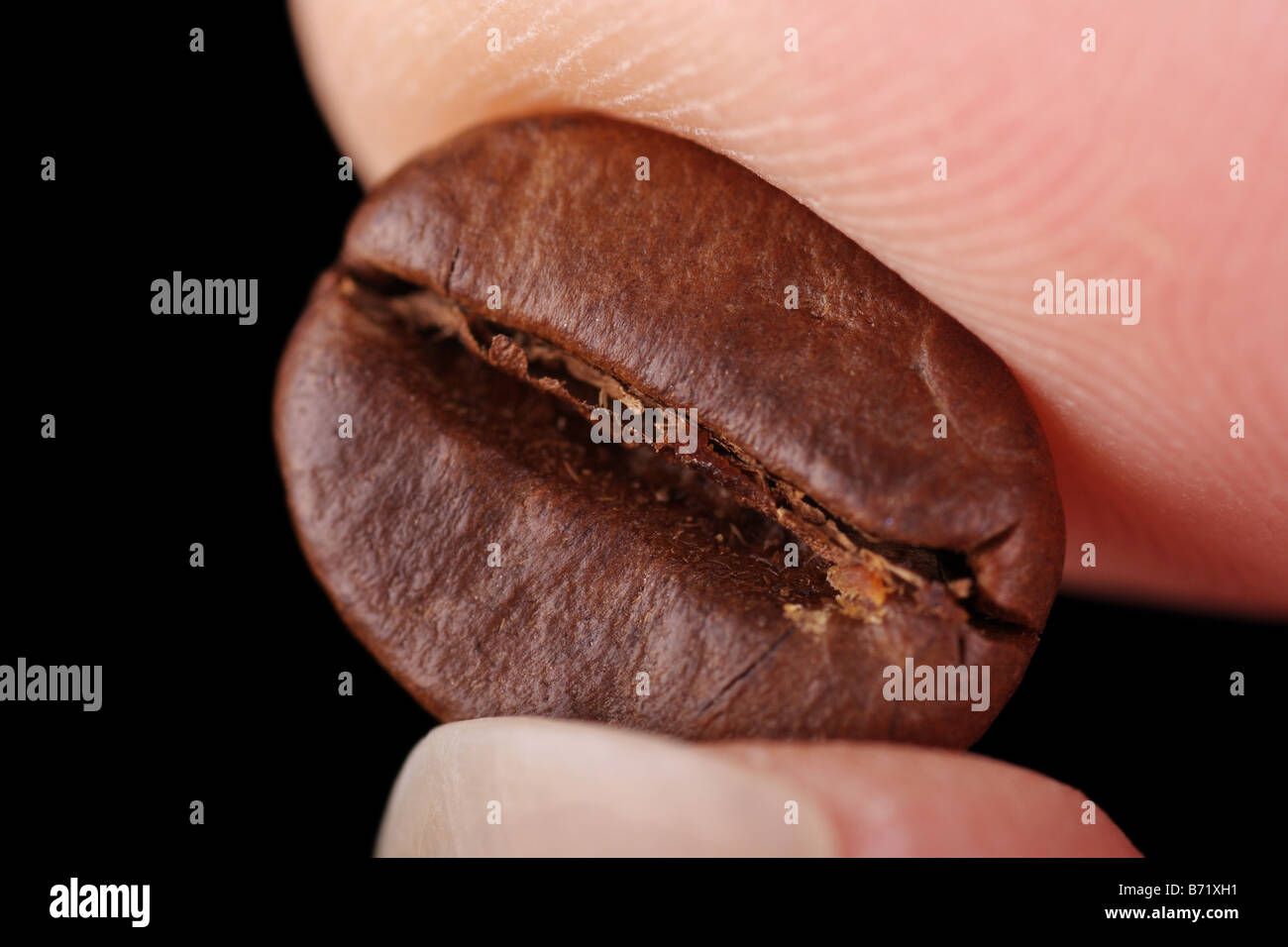 Makro einer Kaffeebohne Stockfoto