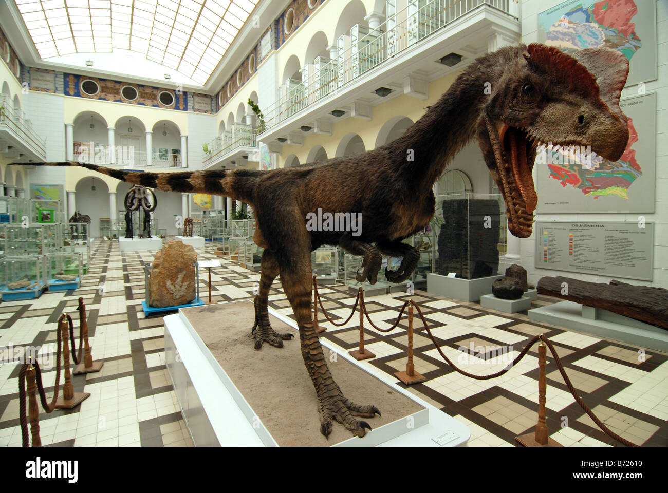 Modell der Dilophosaurus Wetherilli Dinosaurier aus der frühen Jurazeit Stockfoto