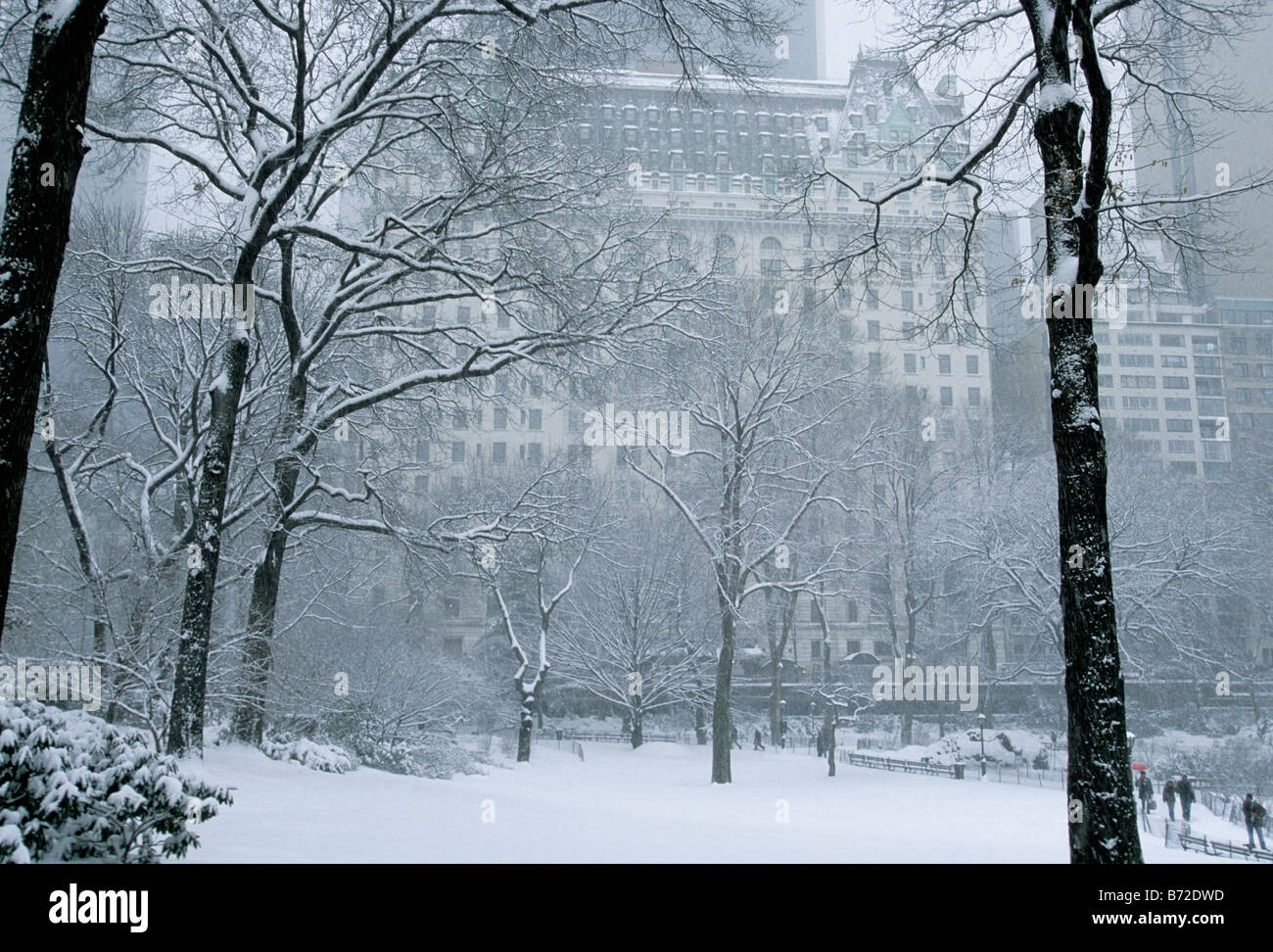 Central Park New York während eines Schneesturms. Central Park Conservancy. Wahrzeichen von New York City. Central Park South und Plaza Hotel. Klima USA Stockfoto