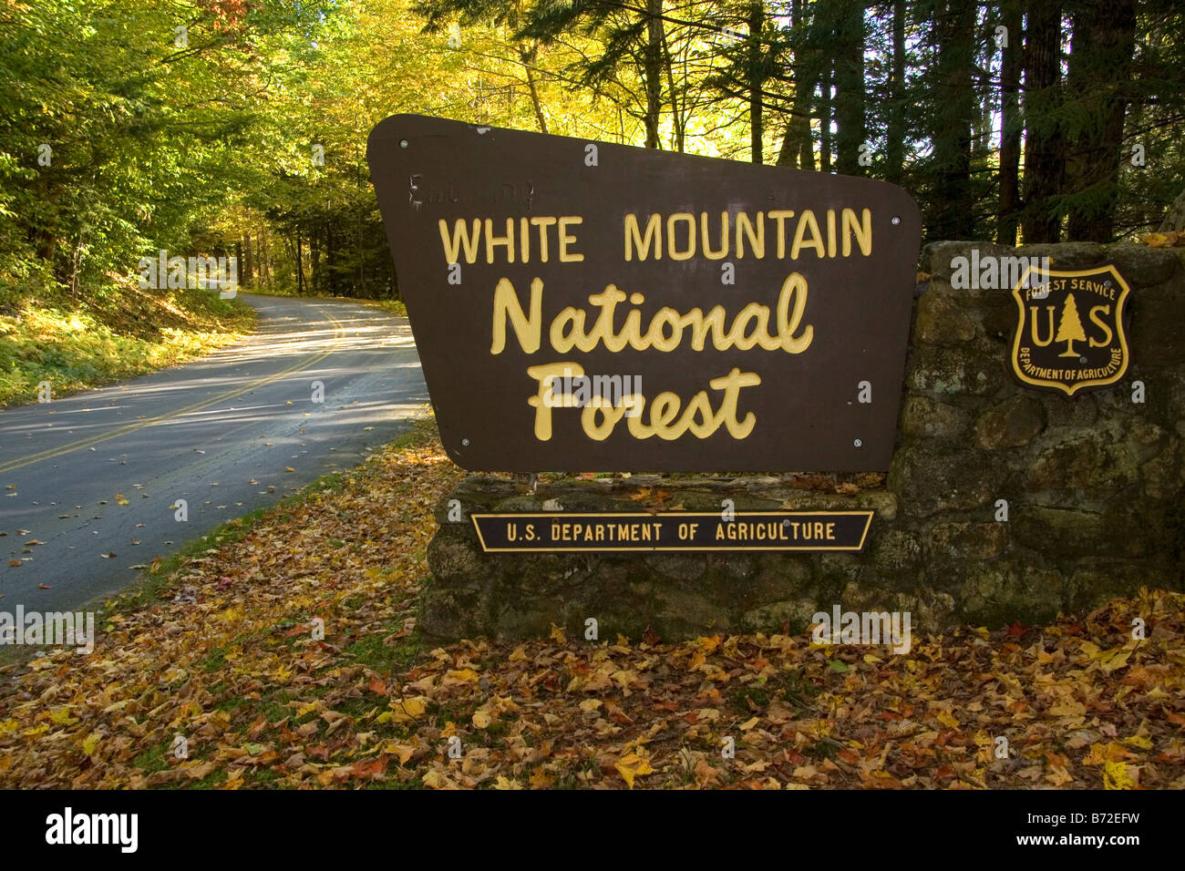 White Mountain National Forest in Grafton County New Hampshire USA Stockfoto