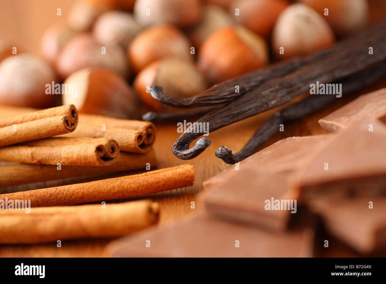 Haselnüsse Zimt-Sticks Vanilleschoten und Schokolade Stockfoto