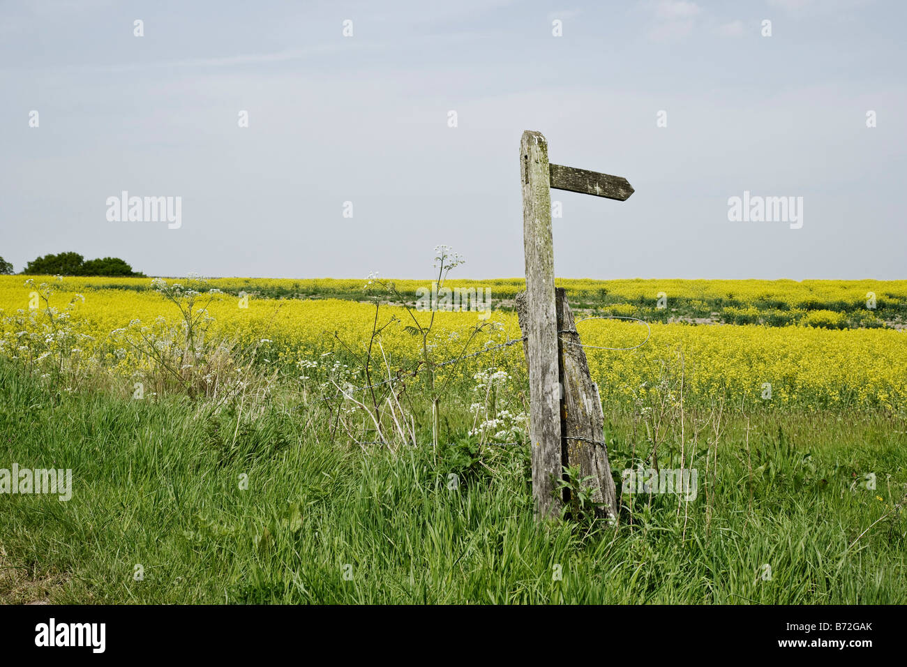 Wegweiser auf dem Lande Stockfoto