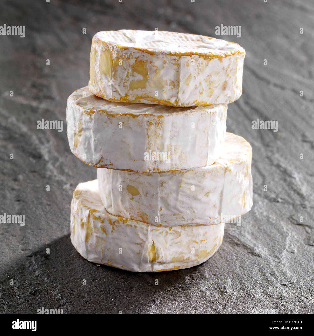Lubborn Käse auf Schiefer Stockfoto