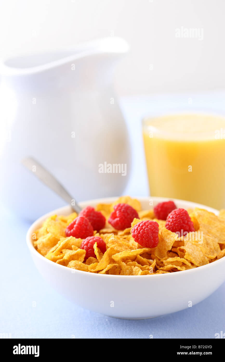 Gesundes Frühstück Müsli frische Beeren und Orangensaft Stockfoto
