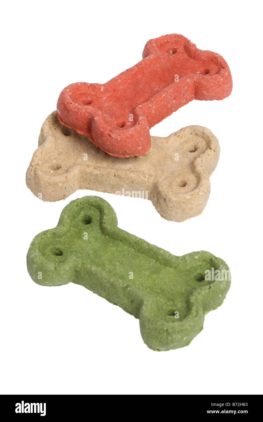 Hund Knochen behandelt ausgeschnitten auf weißem Hintergrund Stockfoto