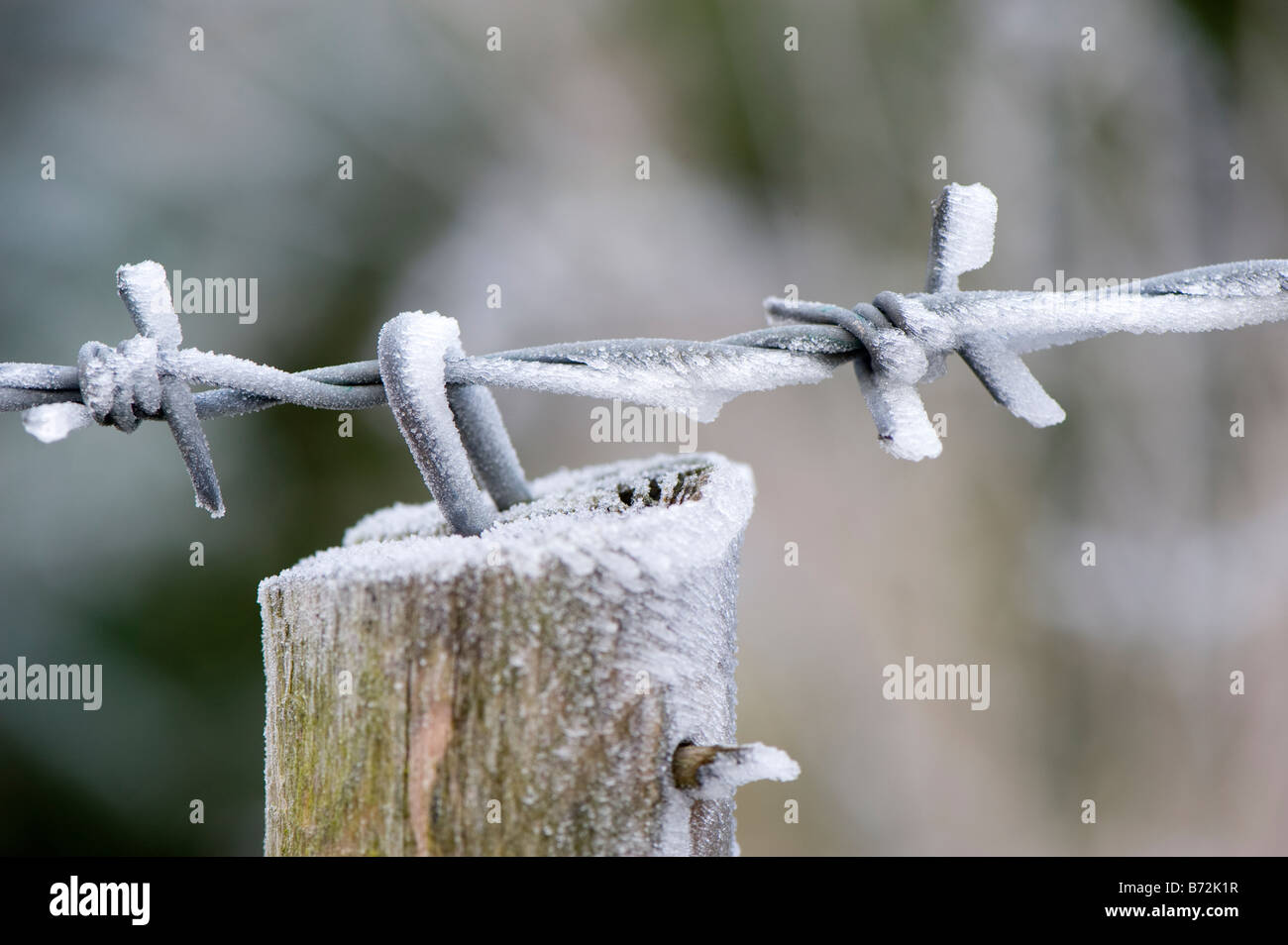 Raureif auf Zäunen Post und Draht Cumbria, England Stockfoto