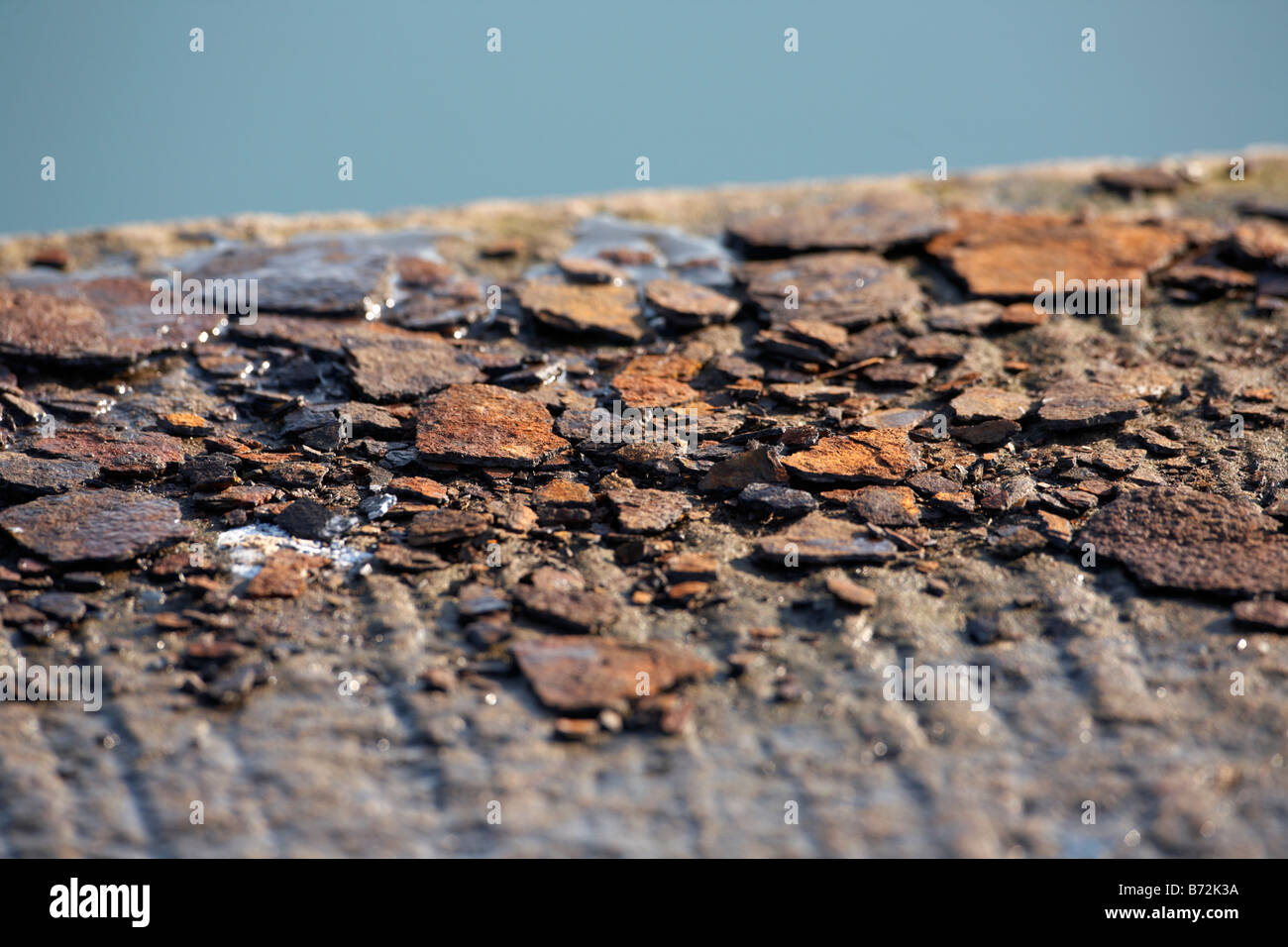 Rost-Flocken liegen auf einer BetonuferstraГџe Grafschaft unten Nordirland Vereinigtes Königreich Stockfoto