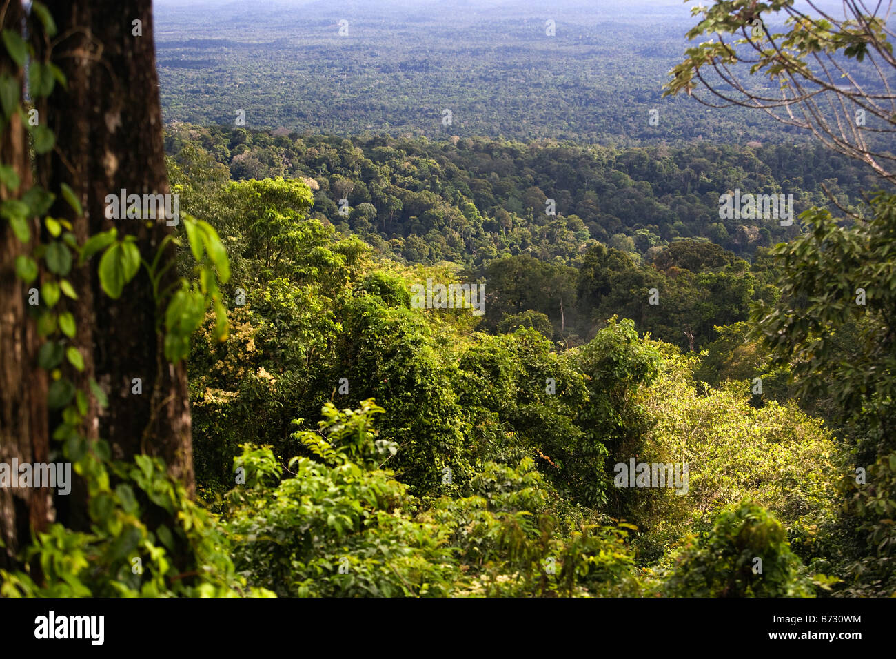Suriname, Brownsweg, Brownsberg Nationalpark. Blick auf Wald und See Brokopondo. Stockfoto